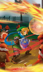 Hyrule Warriors - Link