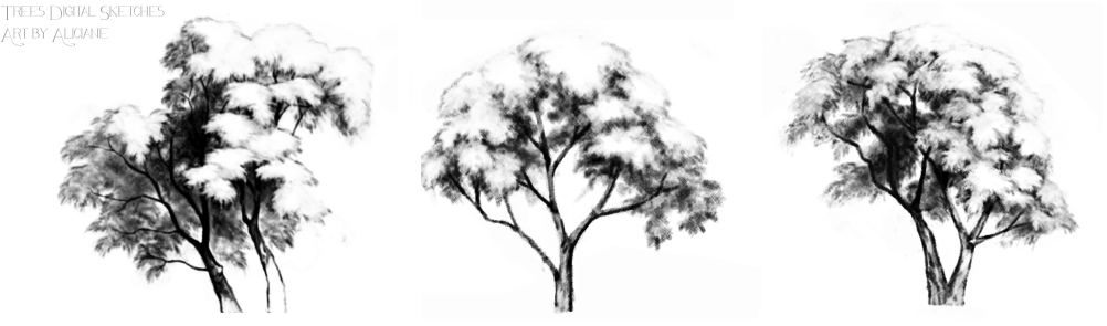 Trees - Digital pencil sketches