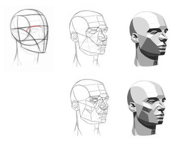 Asaro's Planes of the Head