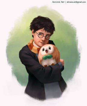 Harry Potter and the Little Owl Starter