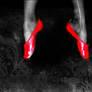 The Red Shoes