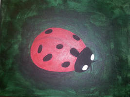 Ladybug