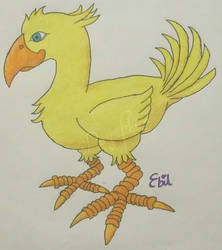 Chocobo