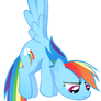 Dash is bored
