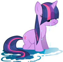 wet pony