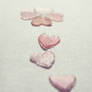 .Pink Heart.Day5.