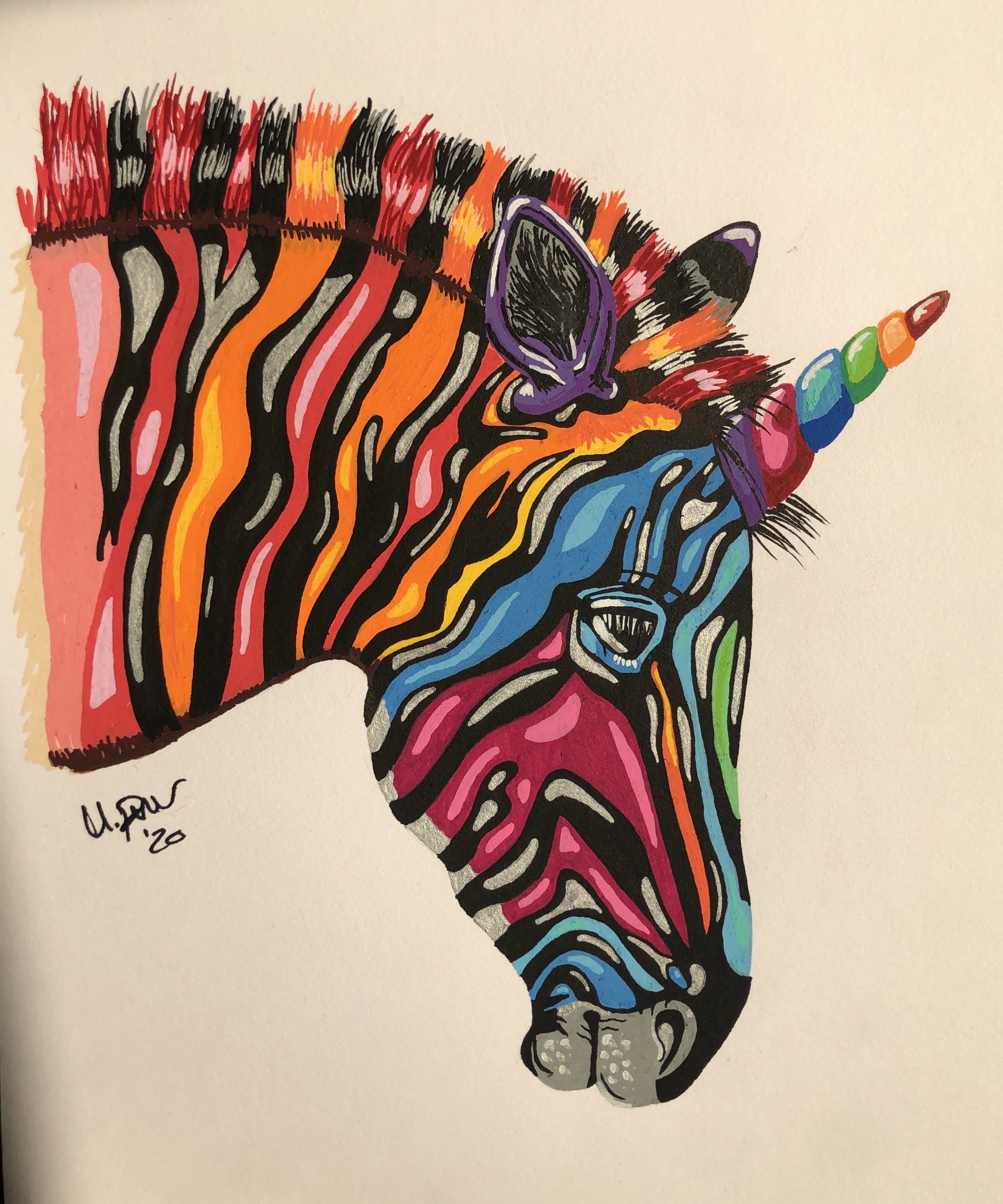 Rainbow Colored Pencil Zebra Baby by OwlsomeDelights on DeviantArt