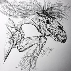 Horsey skull