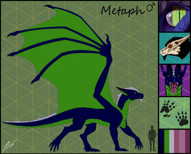 Metaph Ref