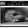 Peugeot 206 WRC poster