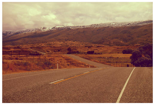 Open Road to Dunedin