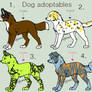 Dog adoptables