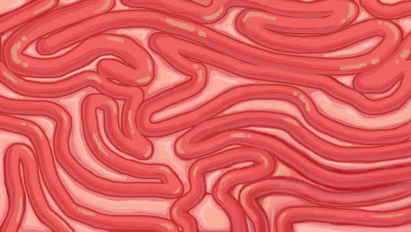 Stomach texture by deliatee on DeviantArt