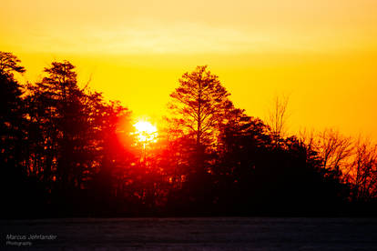 Manassas Sunrise