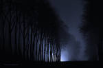 Winter night by dominique-merot
