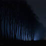 Winter night