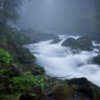 Misty morning
