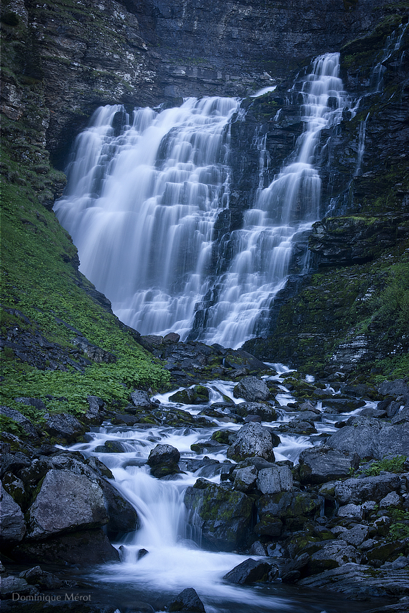 Memory of water