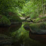 Peaceful sound of the river