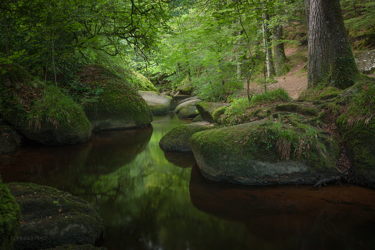 Peaceful sound of the river