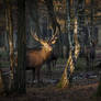 Meeting at sundown