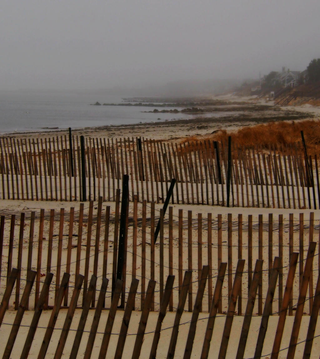 Fog at the beach, cape cod