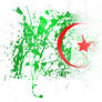 Algerian flag