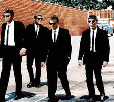 Transporter Dogs
