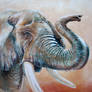 Elephant I