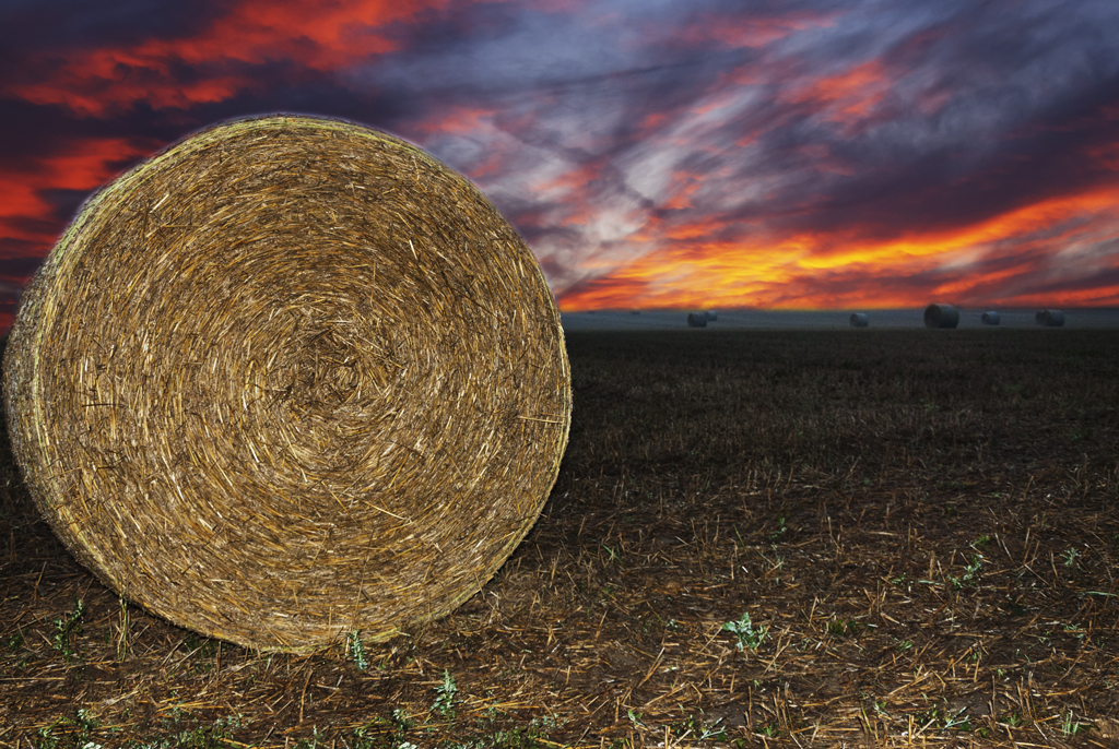 Bail of hay.