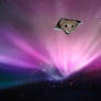 Ceiling Cat Mac Wallpaper