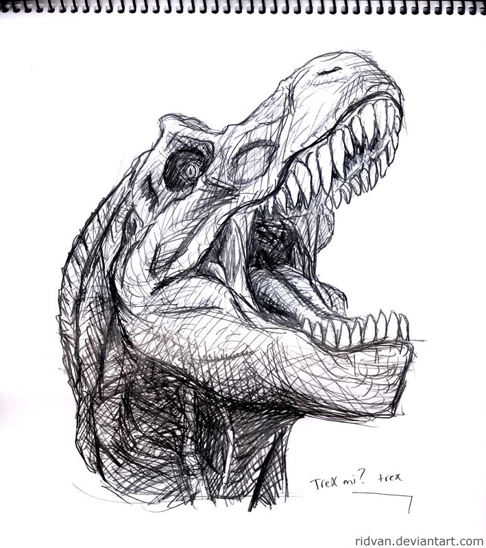 rex head