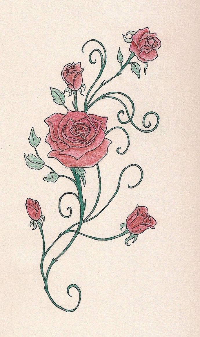 Simple Roses With Vines Rose vine (with pastels) by A-Quily on DeviantArt
