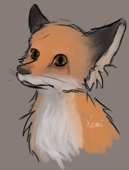 Fox sketch