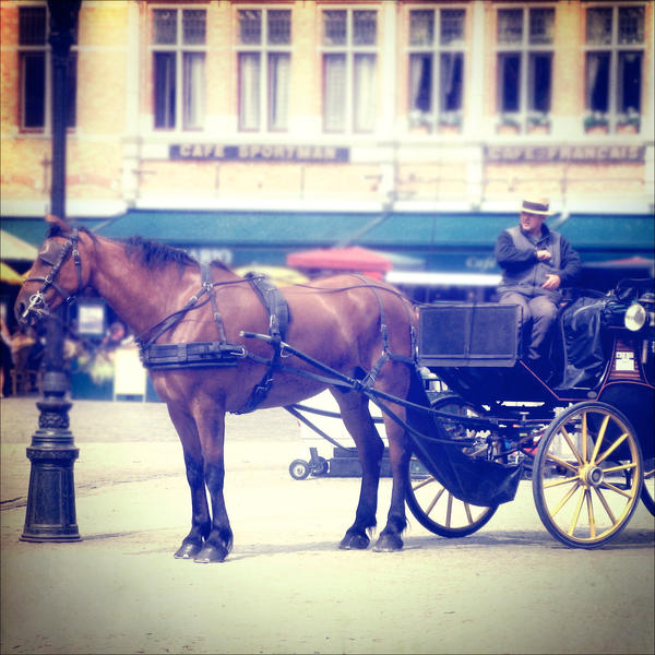 carriage.