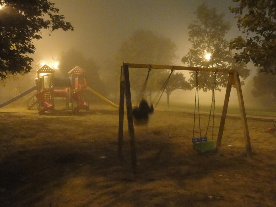 Night at the park