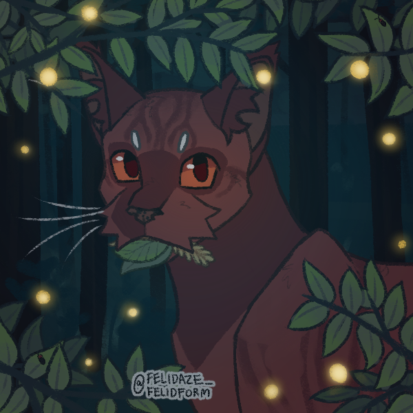 silk reed by werewolf8478575 on DeviantArt