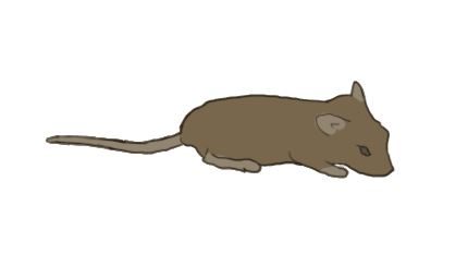 Running mouse by flamingzigzag on DeviantArt