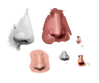 Noses