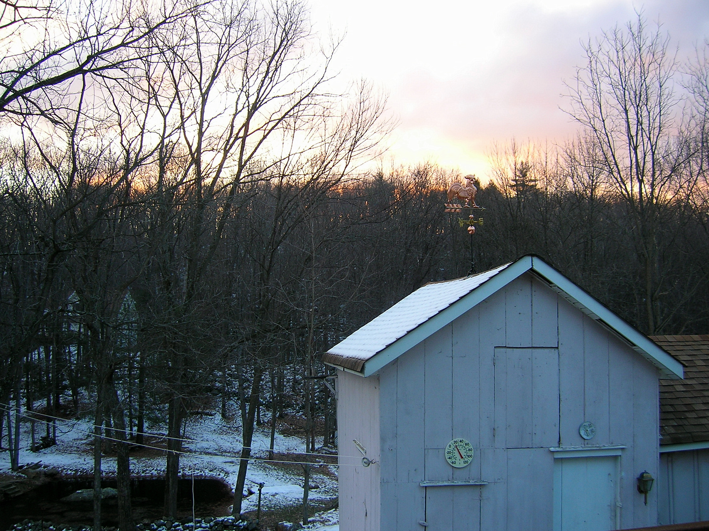 Backyard sunset