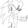 Another Sonic Pic