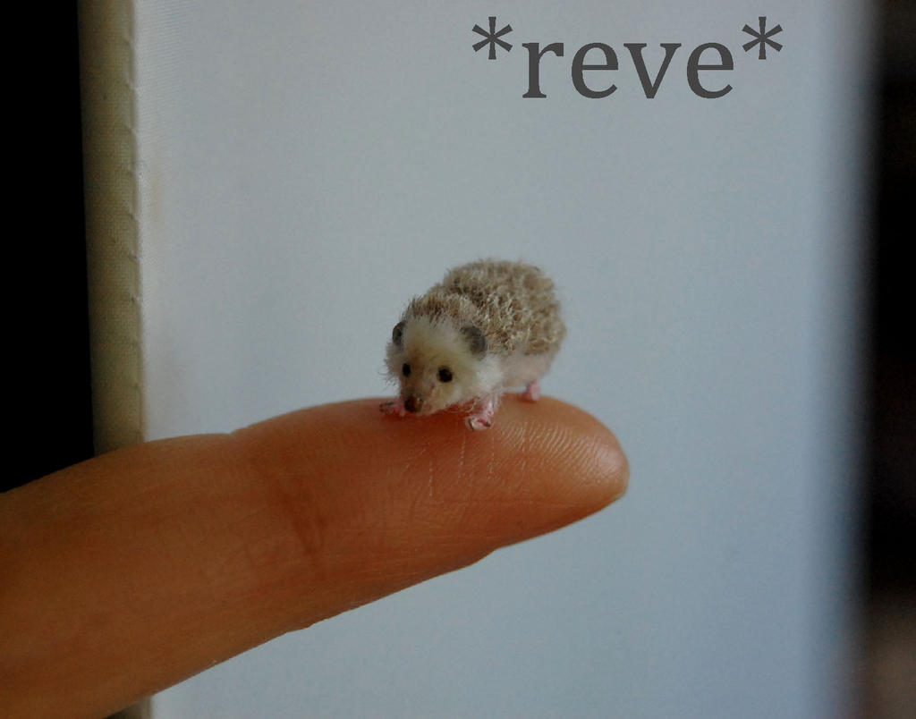 Handmade 1:12 Miniature Sculpture Hedgehog