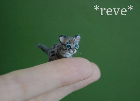 Ocelot Kitten Handmade Miniature Sculpture