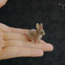 Miniature European Rabbit Handmade Sculpture