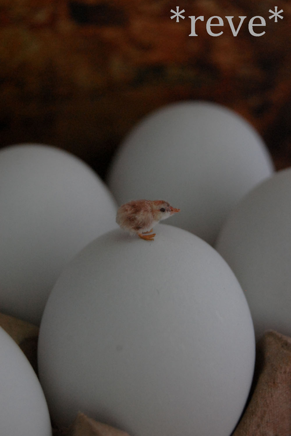 Happy Easter [Handmade Miniature Chick Sculpture]