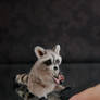 Miniature Raccoon * Handmade Sculpture *