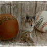 Wolf and pup (Handmade Sculpt) Happy Fathers Day