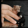 Miniature Bear cubs * Handmade Sculpture *