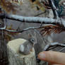 Miniature Cottontail Rabbit * Handmade Sculpture *