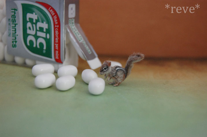 Miniature Chipmunk * Handmade Sculpture *